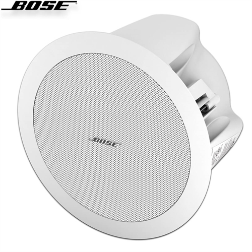 Loa Bose FreeSpace DS 16F 3